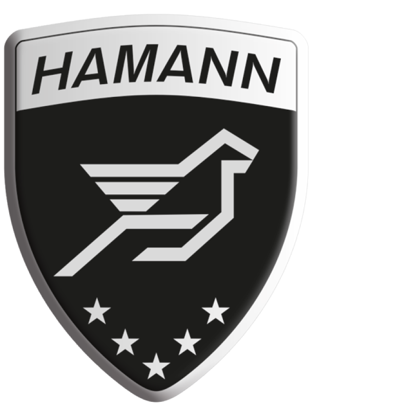 Hamann GmbH